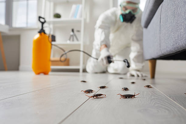 Commercial Kitchen Cockroach Control in Byram
